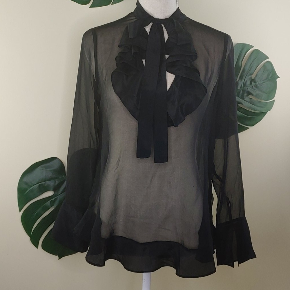 🌿Ella Moss🌿silk ruffle blouse long sleeve